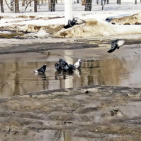 Открытие сезона