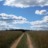 Русское поле