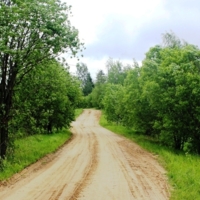 После дождя