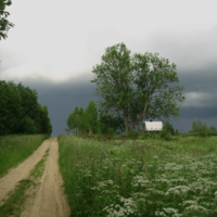 перед грозой