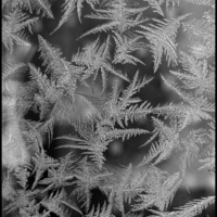 Frost flowers