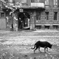 Два одиночества