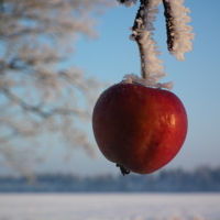 Waiting For a Spring