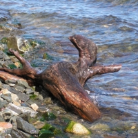 Поверженный