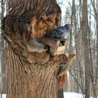 Кто в теремочке живет?