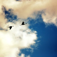 Two in the sky