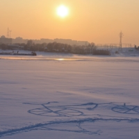 Рисунок из следов.