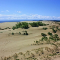 Долгая дорога в дюнах.