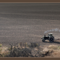 Трактор в поле дыр-дыр-дыр