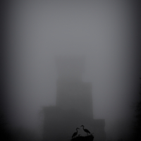 Силуэты в тумане