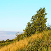 Летний вечерний ветер