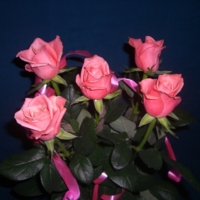 С праздником!!!