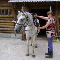 На конно-спортивной базе.