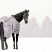 А вам тоже надоела зима?