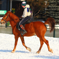 Маленькая наездница.