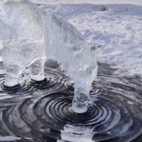 Байкальская водица 