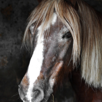 Держа соломинку во рту