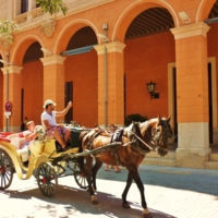 Эх, прокачу!!!