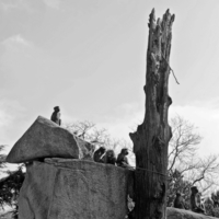 невзятая высота