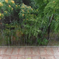 За окном сентябрь ...