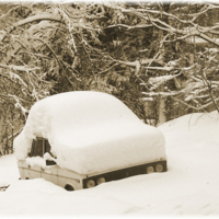 Полгода шел снег...