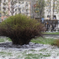 9 месяцев зима, остальное -лето.