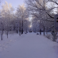 Белый зимний пейзаж)