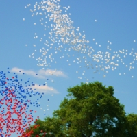 Воздушные шары