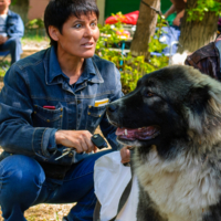 О сходстве хозяев и собак