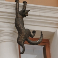 Утренняя гимнастика