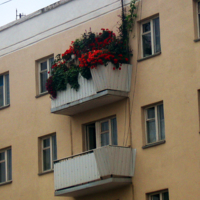 Балкон бабульки "ботана"