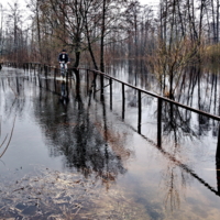 150 метров воды.