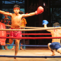 Тайский бокс...