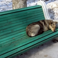 Пригрелся.