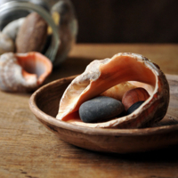 Две ракушки, камни, банка