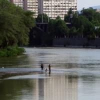 городская рыбалка