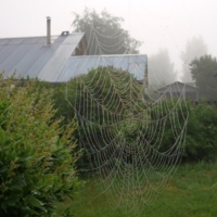 Утренний туман.