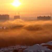 Туман над городским лесом