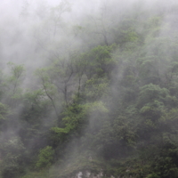 Блуждающий в горах туман