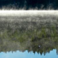 отражение леса в озере туманном