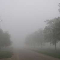   Холодное утро