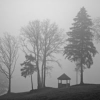 Беседка в тумане