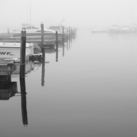 Туманное утро в порту