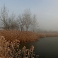 туманный этюд с замершим озером