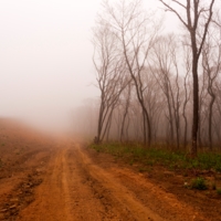 Дорога, уходящая в туман