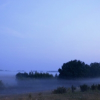 Туман ранним утром