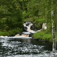 лесной водопад