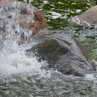 Бьется о камни вода