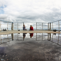 Про хромого голубя...