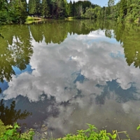 Облака плывут...